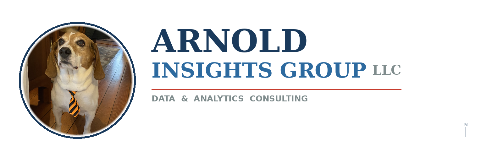 Arnold Insights Group